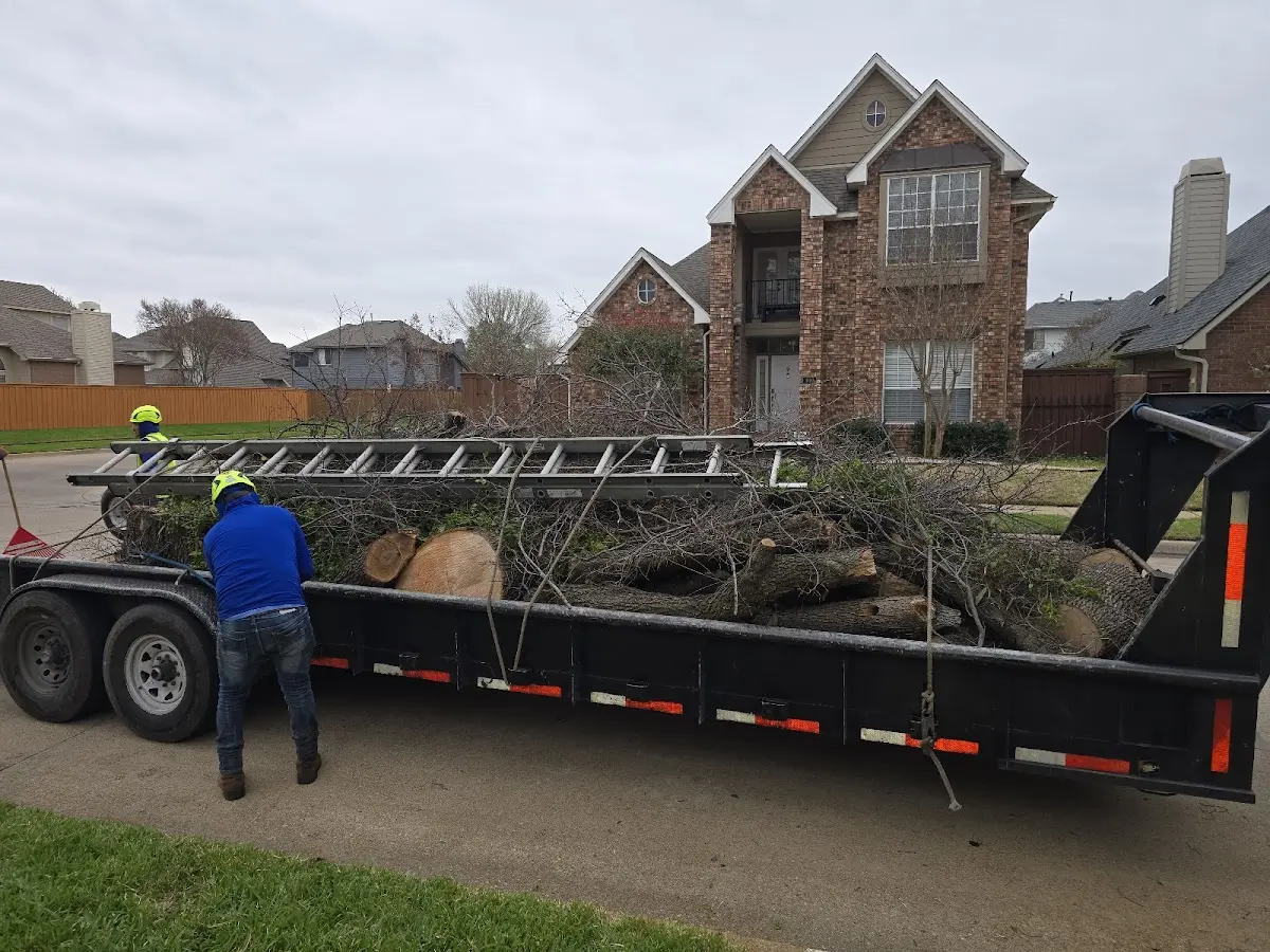 Expert Deadwooding with proper safety equipment in Manchester Township